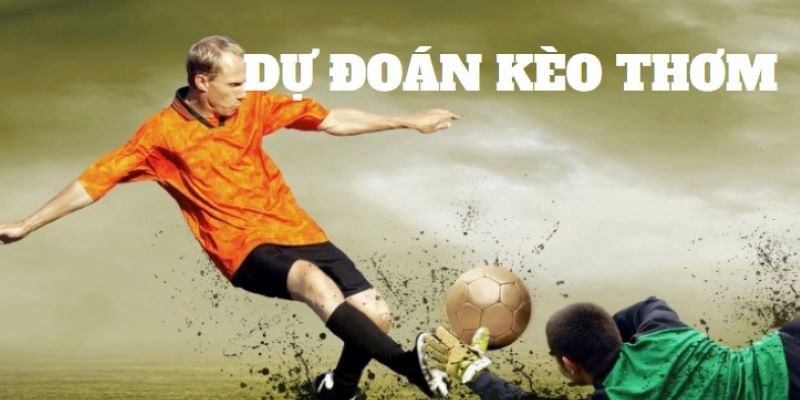 Thông tin từ hai đội khi cập nhật cần có sự sàng lọc, chọn nguồn uy tín