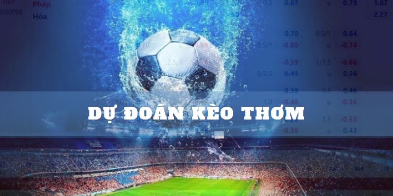 Dự đoán kèo cược thơm mang đến cho hội viên nhiều lợi ích